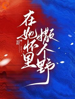 在她怀里撒个野小说姜渔池樾免费阅读