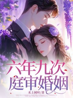六年九次,庭审婚姻林青恒沈沫无广告在线阅读-欧迈阅读网