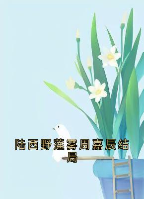 陆西野莲雾周嘉辰结局章节全目录 连雾陆西野全文免费阅读-欧迈阅读网