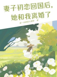 秦薇薇吴岳宋青小说全文免费阅读妻子初恋回国后,她和我离婚了全文免费阅读