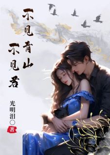 不见青山不见君在哪免费看，顾淮川安意小说章节目录阅读