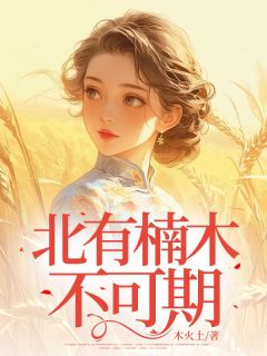 北有楠木不可期刘盛楠徐伟杰-小说txt全文阅读