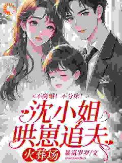 重生后，傲娇千金每天都在追夫小说最新章节 沈念安霍瑾川结局是什么