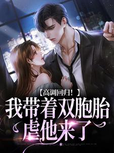 高调回归！我带着双胞胎虐他来了免费章节高调回归！我带着双胞胎虐他来了点我搜索全章节小说