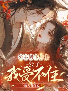 精彩小说林心玲珑公主殿下别撩,公子我受不住全文目录畅读