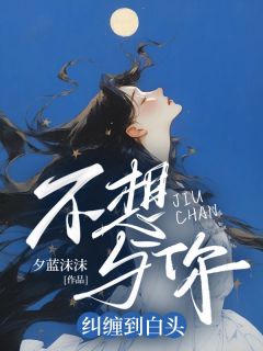 不想与你纠缠到白头温黎沈泽野-小说txt全文阅读