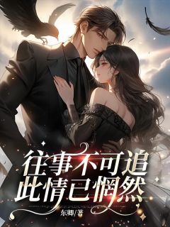 往事不可追，此情已惘然(周清礼姚怀雅乔元祺)全文完整版阅读-欧迈阅读网