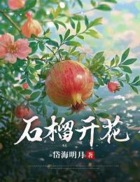 石榴花开免费章节石榴花开点我搜索全章节小说