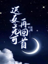 迟冬无可再回首小说(完结)-徐妍沈辞无删减阅读-欧迈阅读网