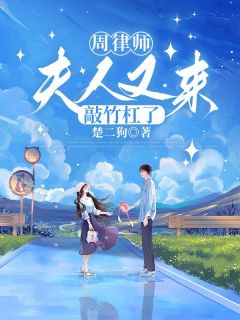 楚二狗的小说周律师,夫人又来敲竹杠了全文阅读-欧迈阅读网