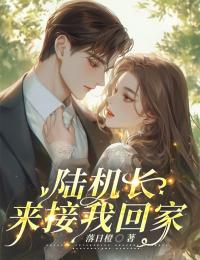 快手热推陆机长,来接我回家小说主角陈知音陆云舟在线阅读