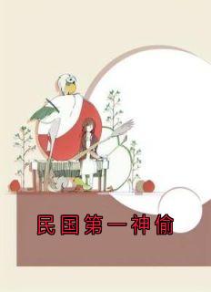 民国第一神偷是什么小说陈智信老张全本免费阅读