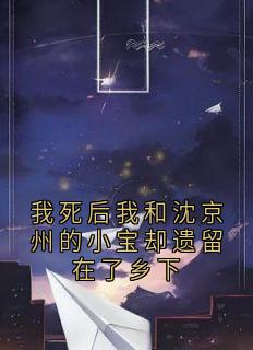 我死后我和沈京州的小宝却遗留在了乡下(沈京州小说)小说最新章节