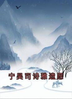 宁昊司诗雅遗愿完整版免费阅读,宁昊司诗雅小说大结局在哪看