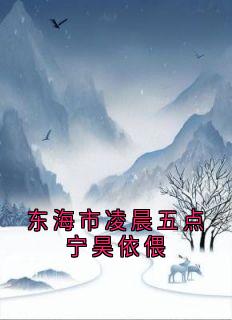 东海市凌晨五点宁昊依偎在线全文阅读-主人公宁昊司诗雅小说
