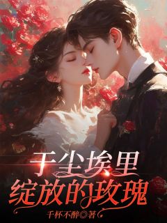 乔玉盛南延是哪部小说的主角 于尘埃里绽放的玫瑰全文无弹窗