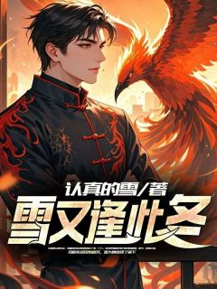 雪又逢此冬小说-司辰佑宋暮颜全篇阅读-欧迈阅读网