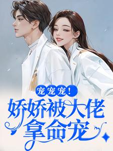 叶初夏陆执是哪本小说主角 宠宠宠!娇娇被大佬拿命宠免费全章节阅读