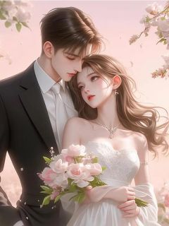 【新书】秘爱终成过往主角唐婉歌江清远全文全章节小说阅读