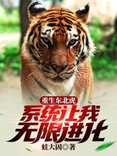 胡毅虎老二胡毅重生成了东北虎完结版小说全文免费阅读