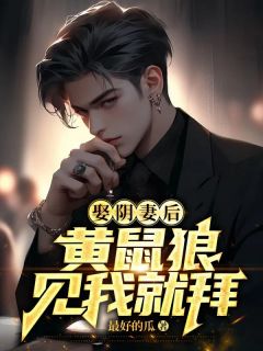 火爆谢清贺星晨杜小良小说,主角是谢清贺星晨在线阅读全文无删减-欧迈阅读网