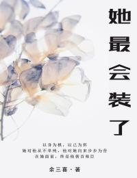 抖音宁执青沈倾山小说叫什么名字