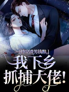 【抄空渣男钱粮，我下乡抓捕大佬！】主角(顾锦心林牧时)在线阅读