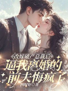 (好书推荐)改嫁破产总裁后,逼我离婚的前夫悔疯了小说最新章节小说全文阅读