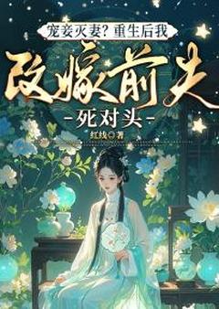 全章节小说宠妾灭妻?重生后我改嫁前夫死对头红线最新阅读-欧迈阅读网