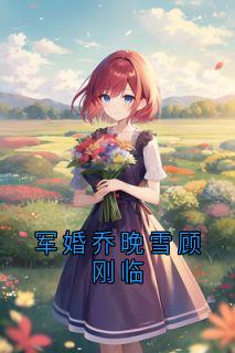 良心推荐军婚乔晚雪顾刚临小说试读