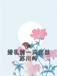 (全本)婚礼前一天兄弟苏川屿主角周江年顾月柔全文目录畅读