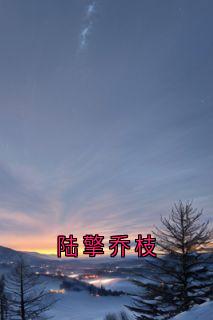 陆擎乔枝完整版免费阅读,乔枝陆擎小说大结局在哪看-欧迈阅读网