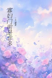 (精品)寡妇门前是非多小说