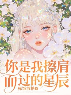 稀饭放糖写的小说你是我擦肩而过的星辰叶洵知沈安芸顾承沨全文阅读