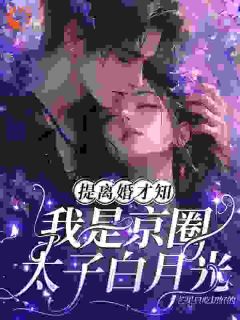 火爆提离婚才知,我是京圈太子白月光小说,主角是宁穗季晏辞在线阅读全文无删减