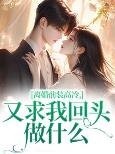 离婚前装高冷，又求我回头做什么快手热推苏念封临汐免费阅读