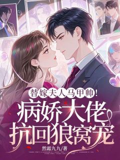 抖音小说替嫁夫人马甲帅!病娇大佬抗回狼窝宠齐琪陆钧泽全文txt