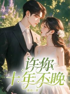 许你十年不晚苏允年舒颜川沈分川全章节完结版在线阅读