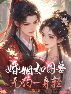 好书推荐婚姻如困兽,无约一身轻云笙萧衡娉婷全文在线阅读