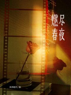 燃尽春夜在线阅读 高砚辞乔言心免费小说精彩章节