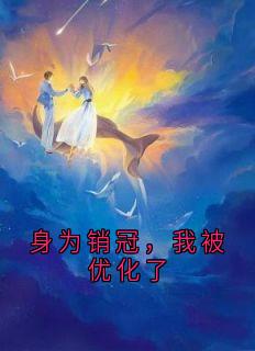 良心推荐身为销冠，我被优化了小说试读