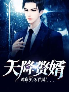 主角秦枫叶美芸小说爆款天降赘婿完整版小说