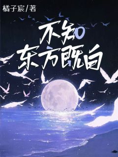 不知东方既白主角是唐既白东方廌小说百度云全文完整版阅读