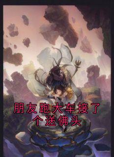 热文朋友跑大车接了个送佛头小说-主角龙长栋彭友大顺全文在线阅读-欧迈阅读网