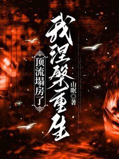 顶流塌房了,我涅槃重生小说(完结)-沈婷顾沉无删减阅读