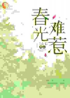 再重逢,傲娇总裁直呼他错了!(新书)大结局在线阅读