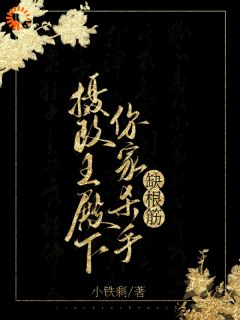 好书推荐摄政王殿下,你家杀手缺根筋!酒月司马青全文在线阅读