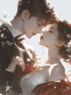 作者开心番茄写的老婆想给白月光儿子当后妈,我离婚成全她小说大结局全章节阅读-欧迈阅读网