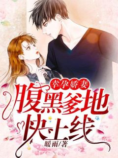 暖雨的小说幸孕娇妻:腹黑爹地快上线主角是沈自欢傅瑾琛