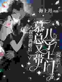 小说推荐提出离婚后，慕总又带儿子上门提亲了！完结版全章节阅读